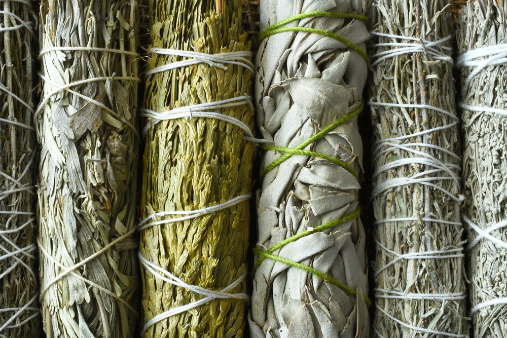 8 Medicinal Plants the Native Americans Used for Survival – Survivopedia