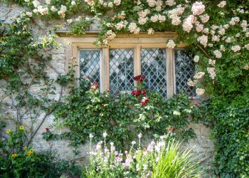 Best Free and Cheap Ways to Fortify a Suburban Home