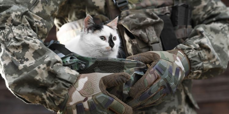 Why Kindness Still Matters in Collapse