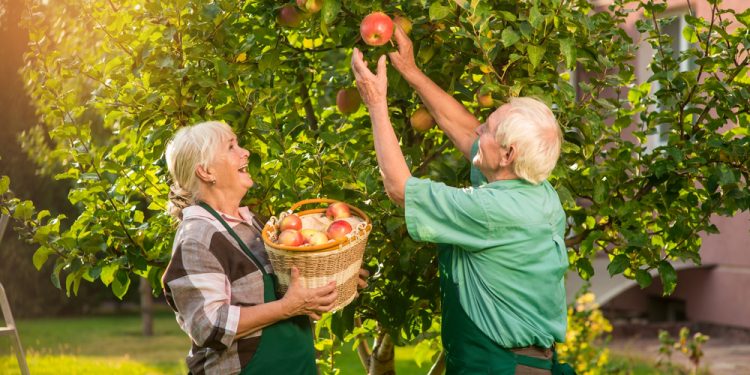 Marriage and Prepping: How to Stay United Under Pressure