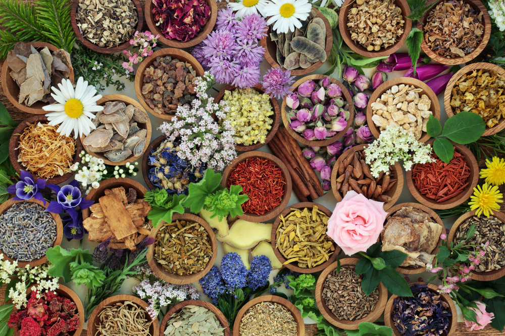 What to Grow, Dry, and Store Now – Survivopedia