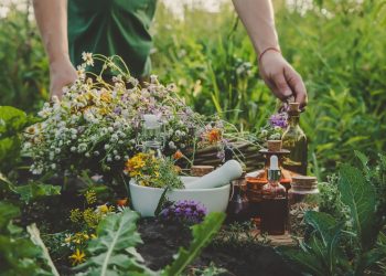 How to Grow a Survival Medicine Garden