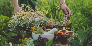 How to Grow a Survival Medicine Garden