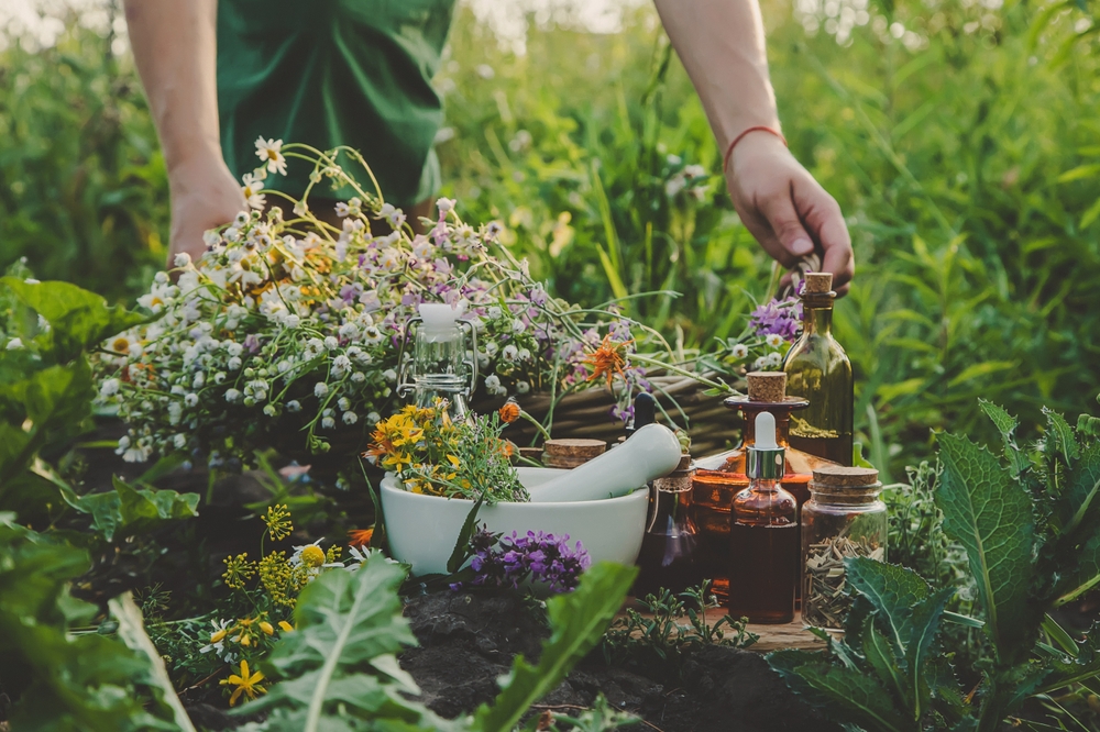 How to Grow a Survival Medicine Garden – Survivopedia