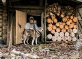 Farming, Foraging & Hunting: Comparing the Food Strategies of Each