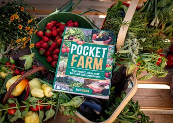 How I Finally Became Food Independent