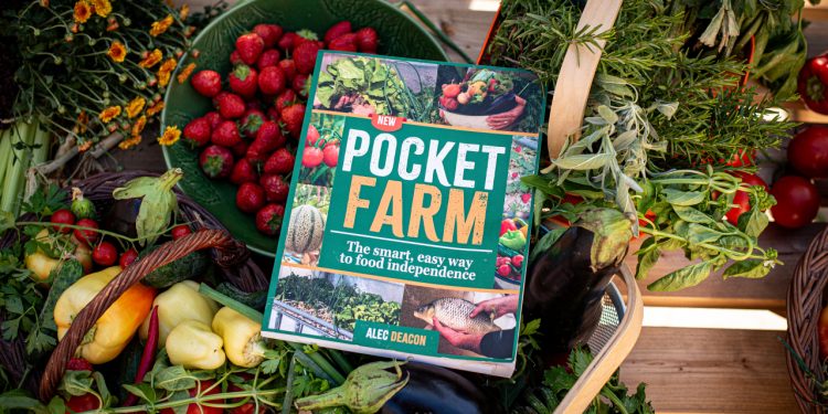 How I Finally Became Food Independent