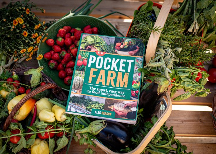 How I Finally Became Food Independent