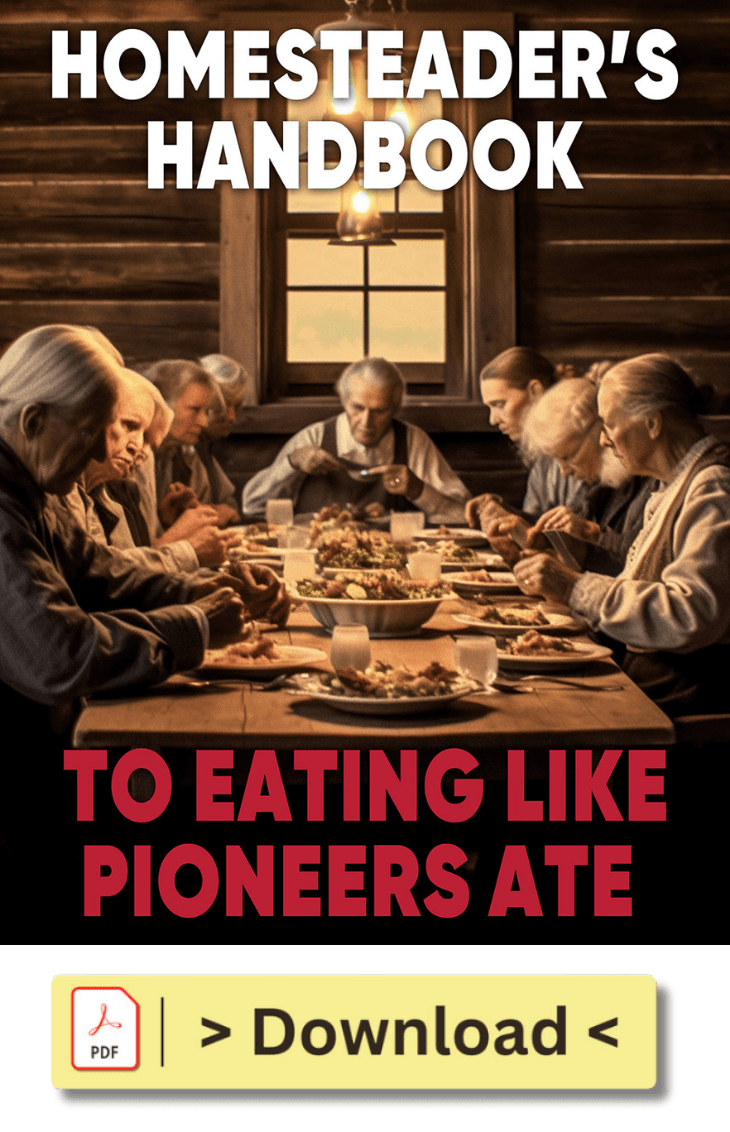 Homesteaders Handbook To Eating Like Pioneers Ate